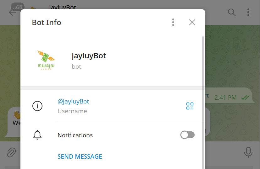 Jay Luy Bot Project